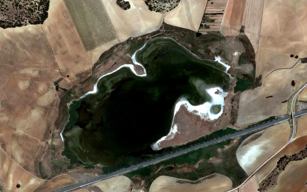 Laguna de Salobrejo, en terrenos arcillo- arenosos del