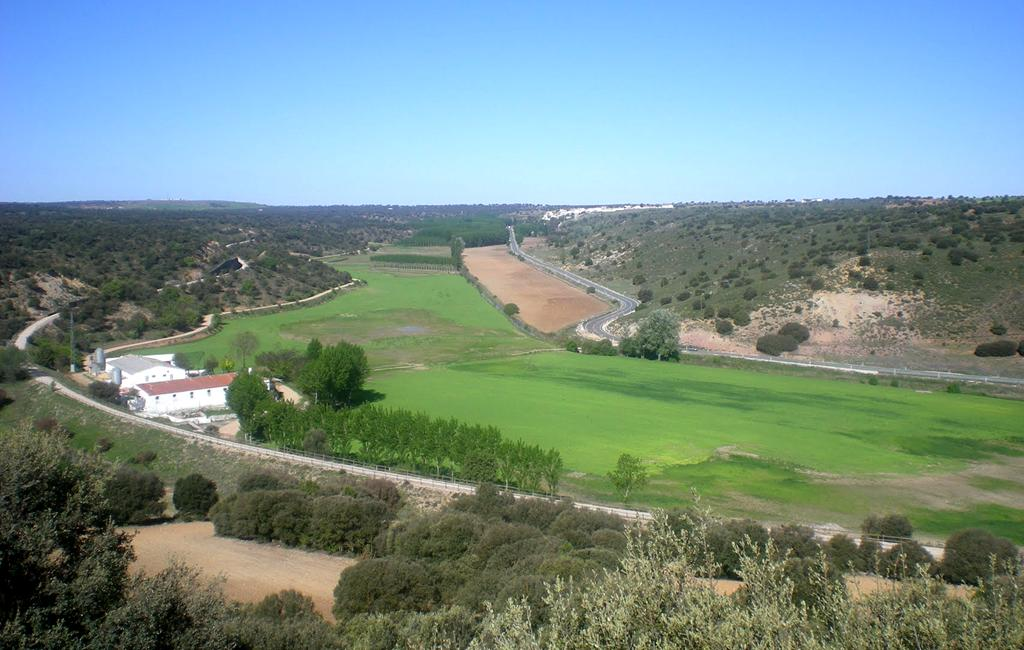 Meandro del Cubillo al E del pueblo. Albacete.