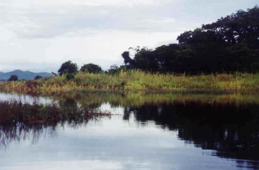Vista de Laguna Clara, Foto: R. Ibarra 2.6. Laguna Clara Se encuentra al oeste de la carretera panamericana a la altura del kilómetro 108, es otra pequeña laguna de 0.50 Km².