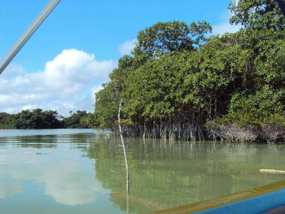 CINVESTAV-IPN Laboratorio de producción Primari Salud de las lagunas costeras en la Península de Yucatán Sara Ma. Morales Ojeda & Jorge A.