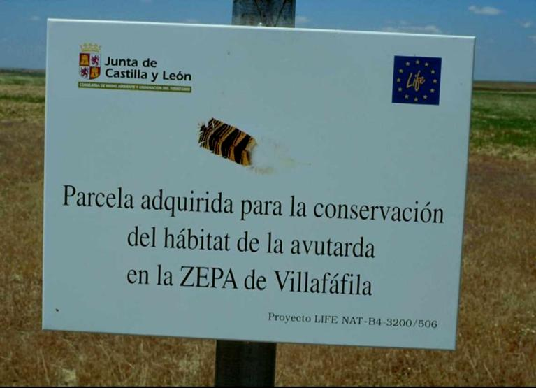 1.- Preservación y Manejo Integral del Hábitat de la Avutarda en la ZEPA de Villafáfila (Zamora, España) (1997-2000). Presupuesto: 438,754. 2.