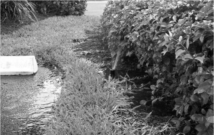 Describir los componentes del sistema de irrigación. 3. Explicar: Cómo puede afectar la irrigación las prácticas de fertilización?