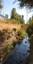 canal delta y canal Timoteo Lozano con la finalidad de colectar el agua pluvial de la zona y conducirla al río de los