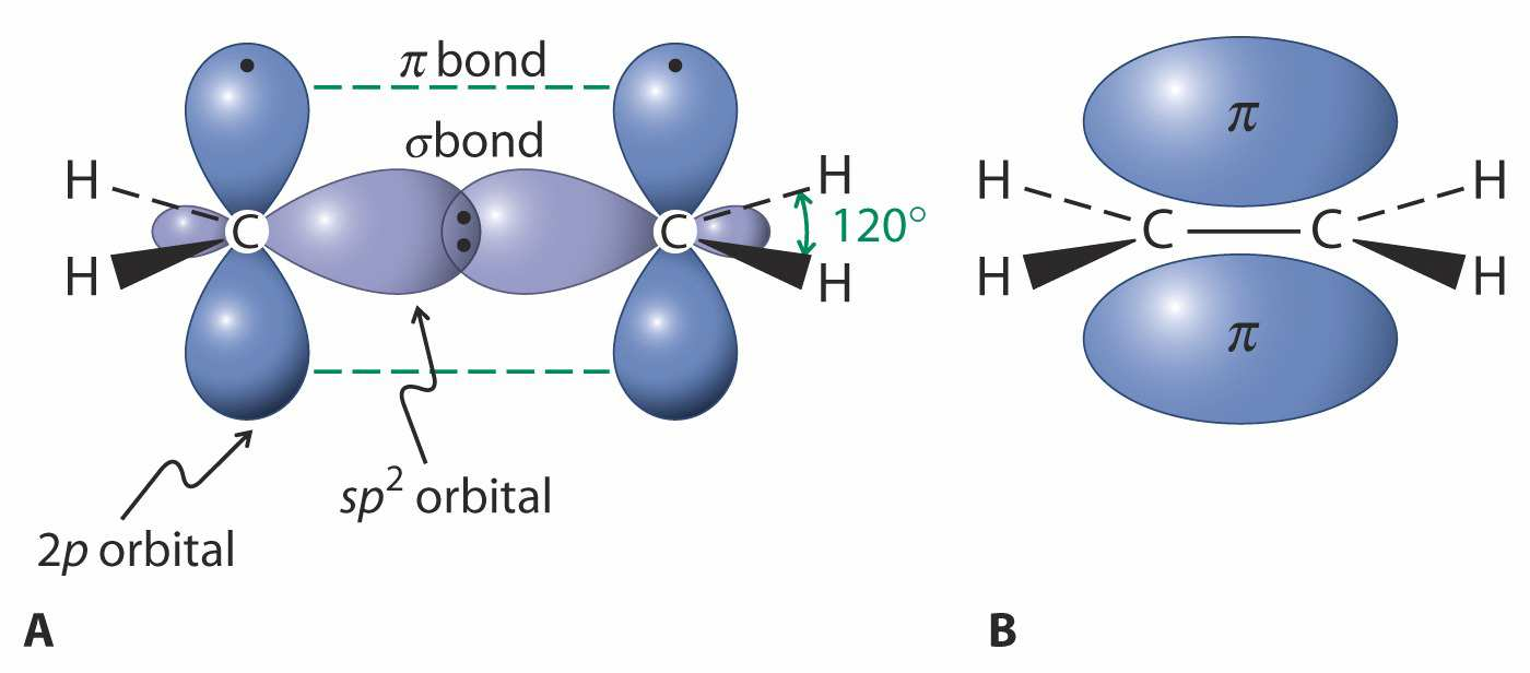 Características estructurales de los alquenos Química Orgánica I Alqueno P. eb.