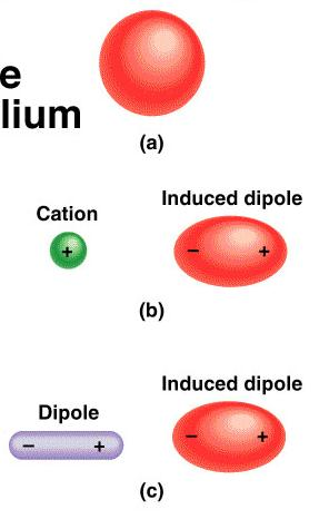 Fuerzas de dispersión: Fuerzas producidas como resultado de dipolos temporalmente inducidos en átomos o