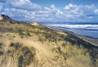 Encontramos sistemas de dunas a lo largo de las costas de los Grandes Lagos (América del Norte), en Canadá, EE.UU.