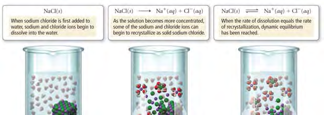 Equilibrio de soluciones Cuando cloruro de sodio se añade al agua, los iones de sodio y cloro comienzan a disolverse A medida que la se concentra algunos de los iones de sodio y cloro se