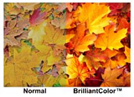 La tecnología BrilliantColor pinta la vida de colores intensos ViewSonic integra tecnología BrilliantColor en la serie PJD5 para crear