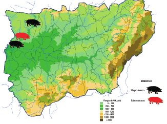 Diagnosis Técnica Provincial Distribución de las especies autóctonas de porcino en la provincia de Jaén Mapa 3 Fuente: Datos ofrecidos por la Oficina Comarcal Agraria de Andújar,