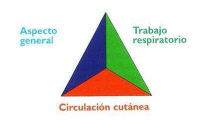 Evaluación inicial Triángulo de evaluación pediátrica (TEP):