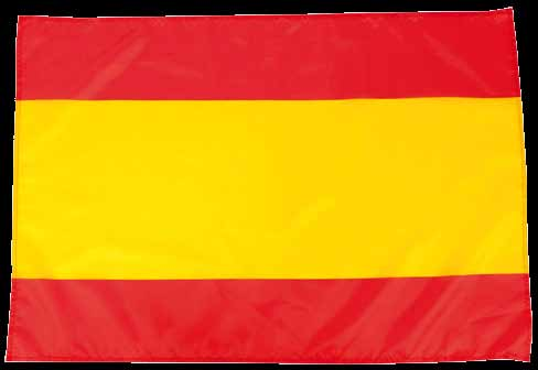 IM-353767 Bandera CASER.
