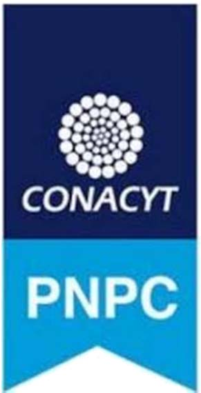 Mantener registro de los posgrados en el PNPC CONACYT Desarrollar estrategias y canalizar esfuerzos que permitan cumplir y superar con los criterios de calidad establecidos por PNPC.