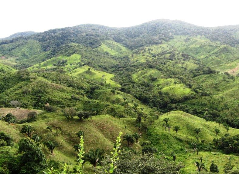 1. Frenar la degradación y recuperar las tierras Dejar las áreas más inclinadas o tierras marginales para la conservación y regeneración natural de bosques