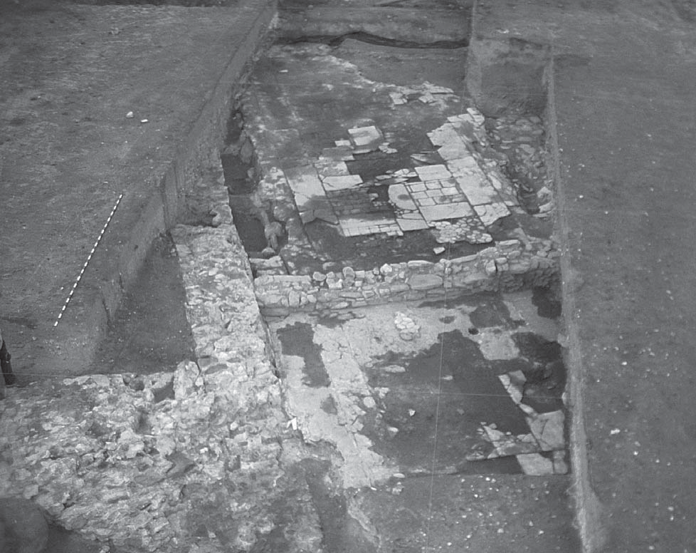CESÁREO PÉREZ GONZÁLEZ -OLIVIA REYES HERNANDO Lámina 17. Sala III. Vista general del sectile conservado. las paredes fueron adosadas sobre el alzado de la Estructura XI.