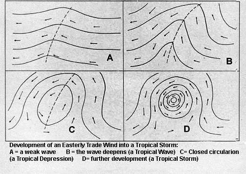 Las ondas tropicales son la génesis de los huracanes en el Atlántico y Pacífico oriental.