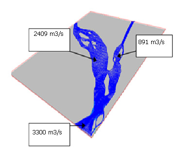 4 Detalles numéricos En este trabao el dominio computacional, que comprende la región de la bifurcación de Río Mezcalapa, tiene en la dirección del ee X una longitud de 6000 m, en la dirección del ee