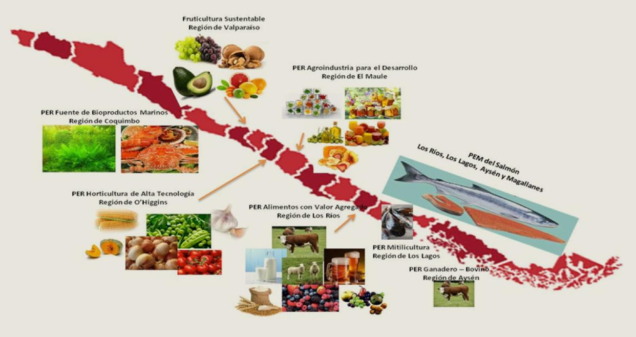 Vinculación con PER y PEM en alimentos Programas Estratégicos Regionales y Mesoregionales específicos en alimentos.