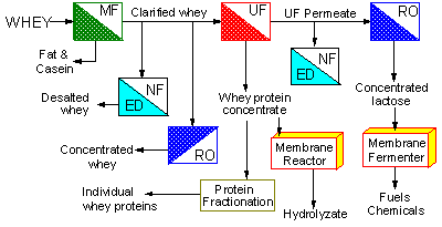 Fracciones obtenidas a partir del suero lácteo Figura 1.
