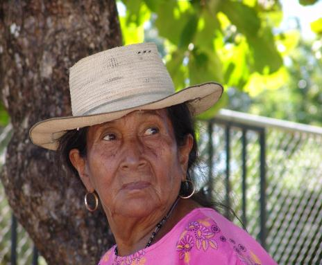 Condiciones socio-económicas de la población de 60 y más años de edad Por: Rogelio Alvarado La población de Panamá sigue siendo joven.