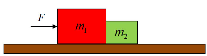 4. Un pequeño insecto es colocado entre dos bloques de masas m 1 y m 2 (m 1 >m 2 ) los cuales se encuentran sobre una superficie horizontal sin fricción.