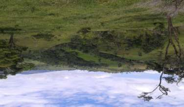 34 Figura 7.Aspecto y ubicación de los relictos de bosques del Orobioma Bajo de los Andes Municipio de Lejanías - Vereda San Ignacio.