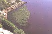 Las lagunas que no regeneran el agua retenida acaban por sufrir fenómenos de eutrofización ( con alto consumo del oxígeno, entre otras consecuencias) que se manifiesta por la aparición de algas y