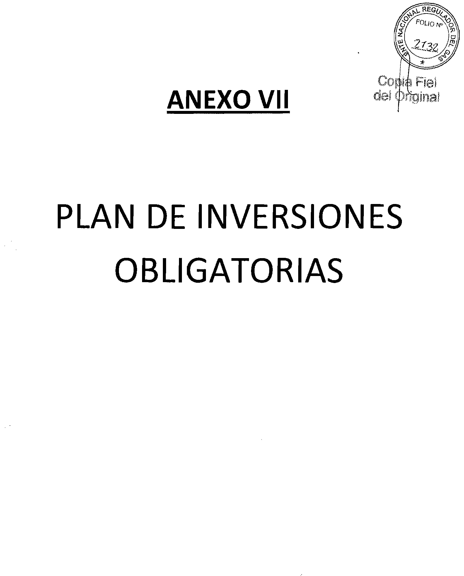 ANEXO VII PLAN DE