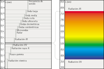 Pero esta sensibilidad no es igual en todo el intervalo y tiene su máximo para 555 nm (amarillo-verdoso) descendiendo hacia los extremos