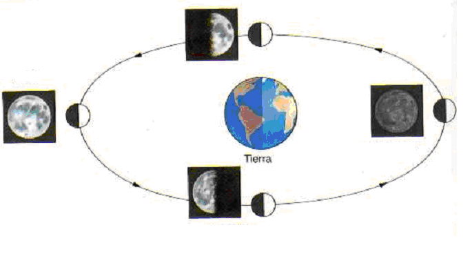 10.- Explica que son los Solsticios y los Equinoccios y haz un dibujo que los represente en el hemisferio norte