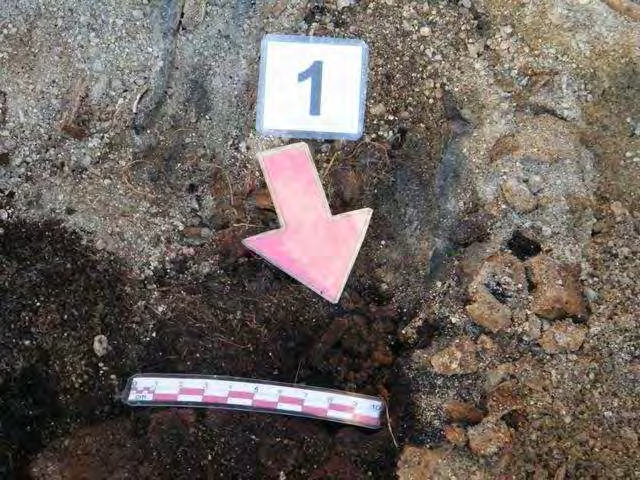 Informe de exhumación de fosa común en