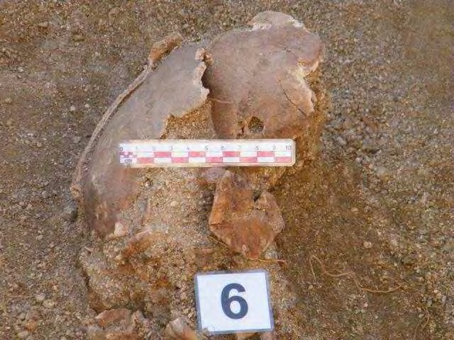 Informe de exhumación de fosa común en Casavieja (Ávila) Marzo de 2009 INDIVIDUO 06. 57 Descripción Individuo en decúbito prono extendido.