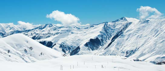 Ski Plus Un seguro de marca récord La solución más completa para los deportes de invierno más practicados. 4 seguros en 1.