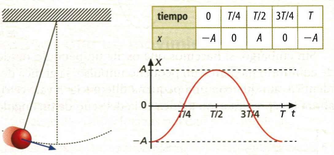 El movimiento parte desde el extremo izquierdo (hacia el punto de equilibrio) Elaborando la tabla de valores y representándola, podemos ver que la ecuación del movimiento es: x= A cosω t= A