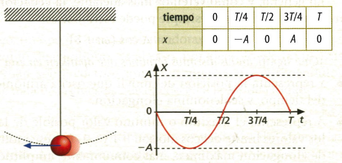 sen ω t=a sen(ω t +π) (10b) 2.2.- Velocidad del M.A.S.