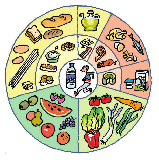 Por qué crees que algunos alimentos están dibujados a menor tamaño que otros de su mismo grupo? VAS A APRENDER R05 Qué es la función de nutrición, qué procesos incluye y en qué aparatos se realiza.