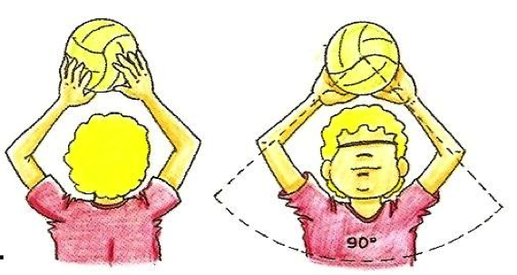 A partir de la posición básica, colócate rápidamente detrás y debajo del balón. Pon los pies en dirección al lugar donde quieras pasar el balón.