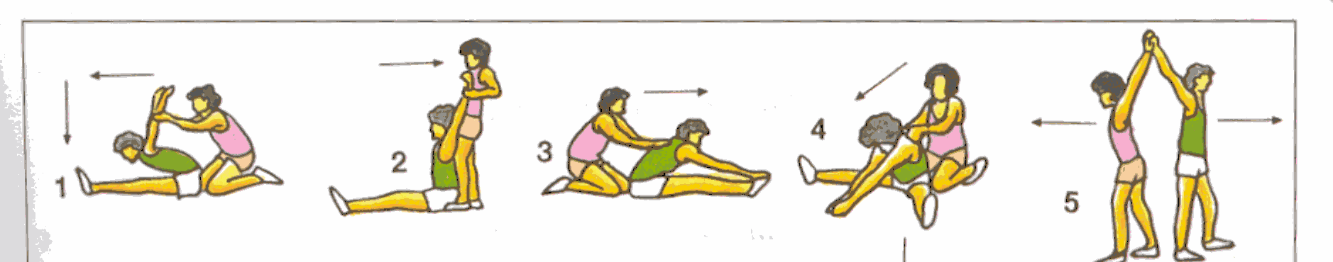 B) Ejercicios estáticos En los ejercicios estáticos, también llamados estiramientos, se adopta una posición que obliga a estirar un grupo muscular y se mantiene la posición de 12 a 20 para que sea