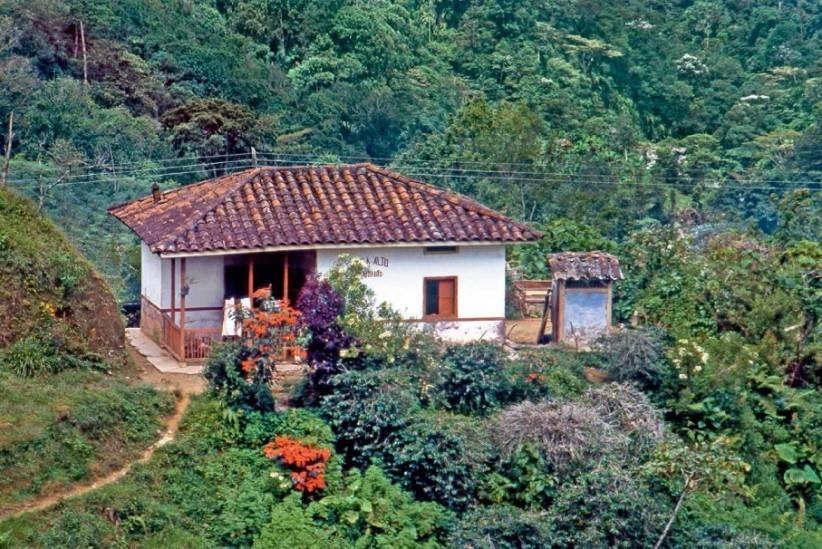 Muchos colombianos viven en el campo La población rural en Colombia es de 14,4