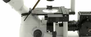 Ergonomia Fácil acceso a los mandos de control y utilización sencilla de microscopio.