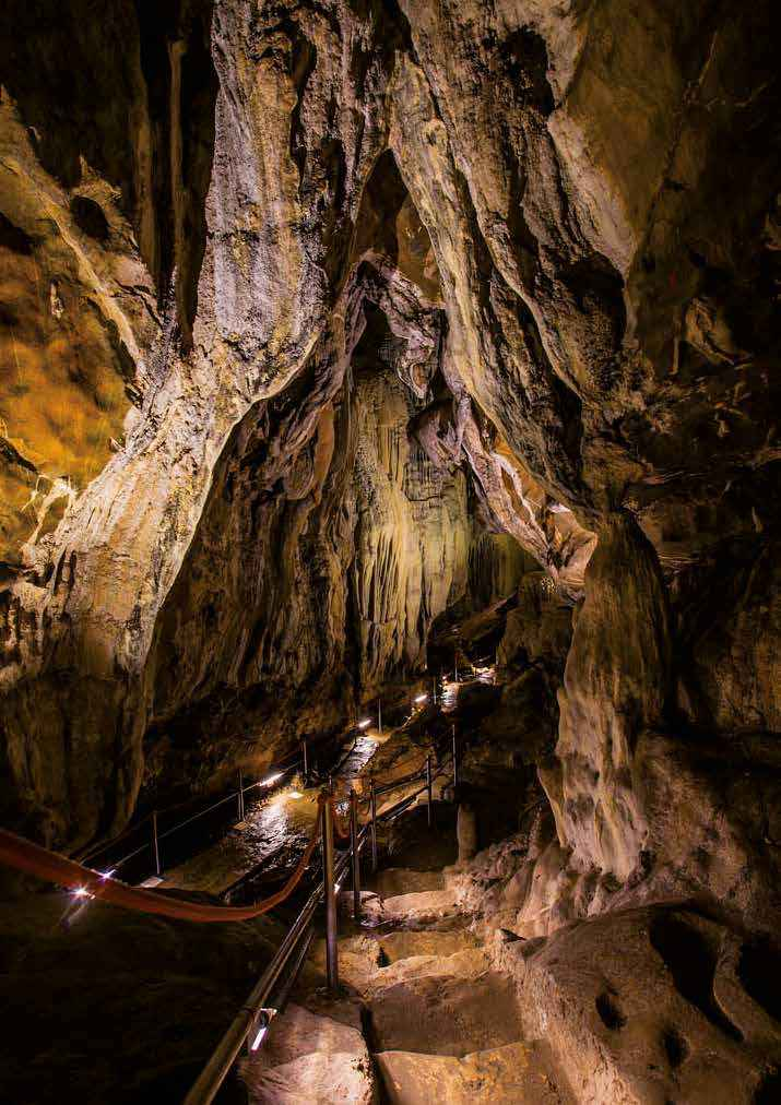 TR4 OPAL LED Cueva de las Güisas, Villanua, España Witches