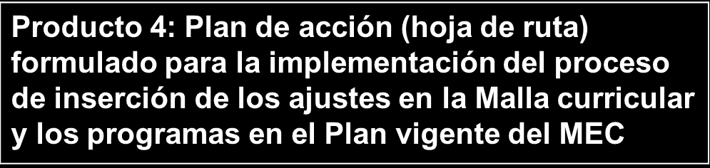 Plan de acción en Villarrica-Ñumi/Guaira Plan de acción en San Alberto/Alto Paraná Plan de acción en Alto Vera/Itapúa