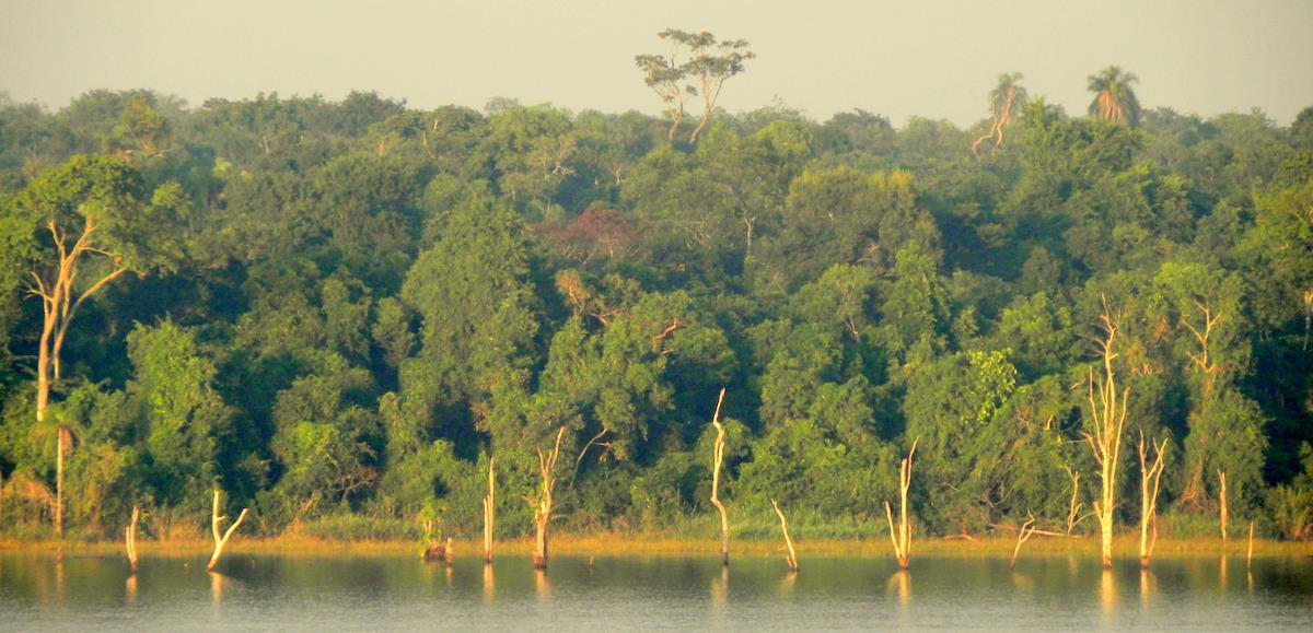 Qué es el Proyecto Paraguay Biodiversidad?