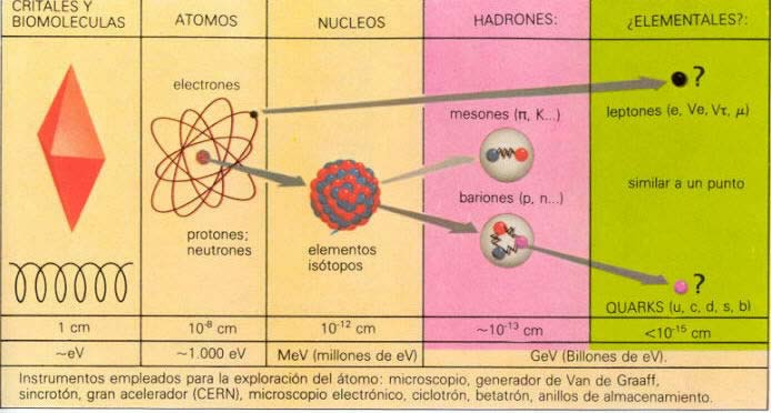 Lo que nos sugiere que no son partículas elementales. Son sensibles a las fuerzas nucleares y de gravedad, y se presentan en variedades neutras y cargadas.