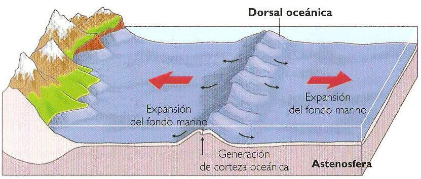 Los mapas detallados del fondo oceánico se realizaron por medio del sonar (navegación y localización por sonido): este aparato utiliza ultrasonidos y recoge su eco, a partir del retardo del eco se