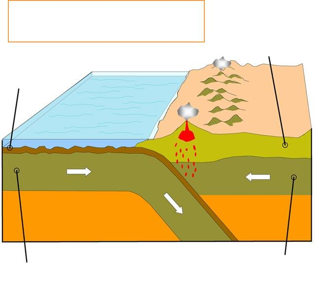 La placa de Nazca interactuando con la placa continental, origen de la actividad