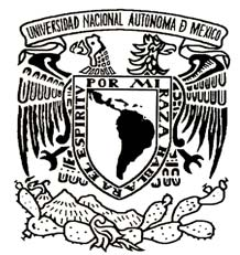 UNIVERSIDAD NACIONAL AUTÓNOMA DE MÉXICO FACULTAD DE INGENIERÍA APLICACIÓN INDUSTRIAL DE ACCIONAMIENTOS (DRIVES)