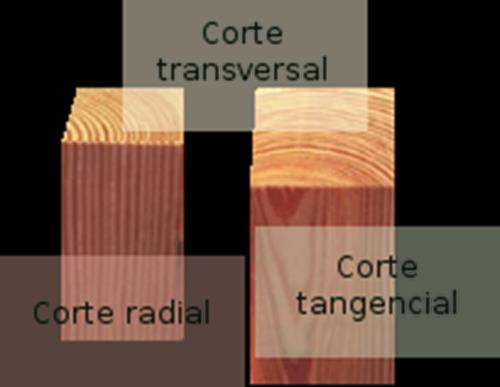 sentido del corte: transversal, radial
