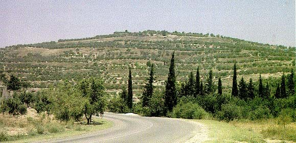 Monte Gerizim, donde el rey Omri, del reino del norte, edificó la ciudad de Samaria.