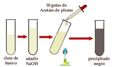 Reacción de aminoácidos azufrados Se pone de manifiesto por la formación de un precipitado negruzco de sulfuro de plomo.