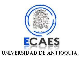 INFORME RESULTADOS ECAES 2007-2 Vicerrectoría de Docencia Universidad de Antioquia Medellín,
